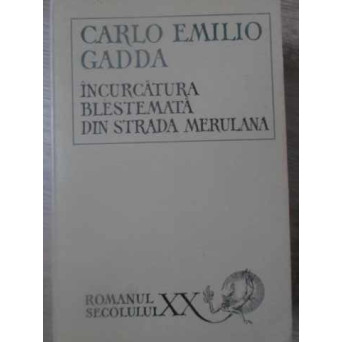 INCURCATURA BLESTEMATA DIN STRADA MERULANA