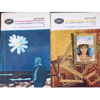 LA UMBRA FETELOR IN FLOARE (IN CAUTAREA TIMPULUI PIERDUT III-IV) VOL.1-2