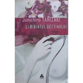 LABIRINTUL DESTINULUI