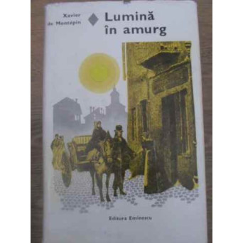 LUMINA IN AMURG