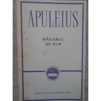 MAGARUL DE AUR MAGARUL DE AUR