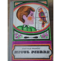 MICUL PIERRE