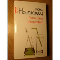 PARTICULELE ELEMENTARE PARTICULELE ELEMENTARE
