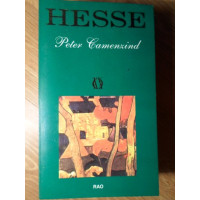 PETER CAMENZIND PETER CAMENZIND
