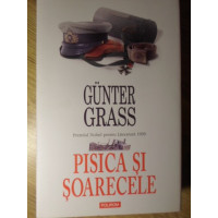 PISICA SI SOARECELE