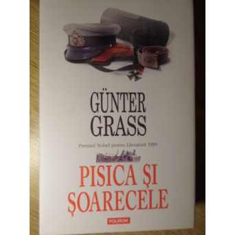 PISICA SI SOARECELE