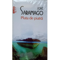 PLUTA DE PIATRA PLUTA DE PIATRA