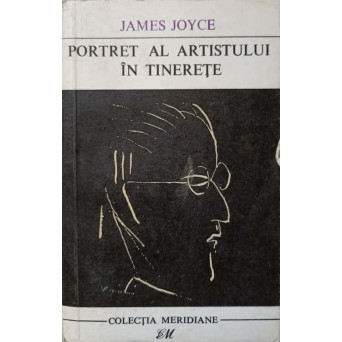 PORTRET AL ARTISTULUI IN TINERETE