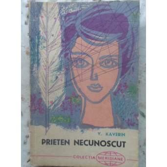 PRIETEN NECUNOSCUT