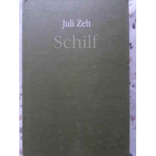 SCHILF