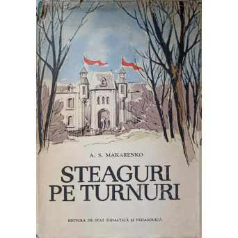 STEAGURI PE TUNURI