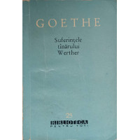 SUFERINTELE TANARULUI WERTHER