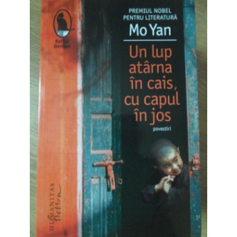 UN LUP ATARNA IN CAIS, CU CAPUL IN JOS