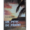 UN PETEC DE PAMANT