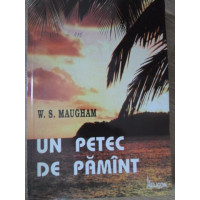 UN PETEC DE PAMANT