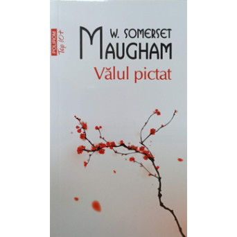 VALUL PICTAT