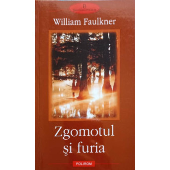 ZGOMOTUL SI FURIA