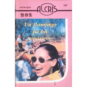 UN FLAMINGO PE LAC