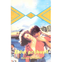 ZIDUL PRABUSIT ZIDUL PRABUSIT