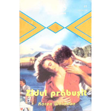 ZIDUL PRABUSIT
