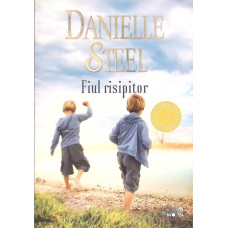 FIUL RISIPITOR