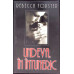 UNDEVA IN INTUNERIC