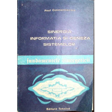 SINERGIA, INFORMATIA SI GENEZA SISTEMELOR. FUNDAMENTELE SINERGETICII