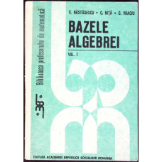 BAZELE ALGEBREI VOL.1