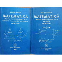 MATEMATICA MANUAL PENTRU CLASA A X-A VOL.1-2 ALGEBRA. GEOMETRIE, PROBABILITATI SI STATISTICA MATEMATICA MANUAL PENTRU CLASA A X-A VOL.1-2 ALGEBRA. GEOMETRIE, PROBABILITATI SI STATISTICA