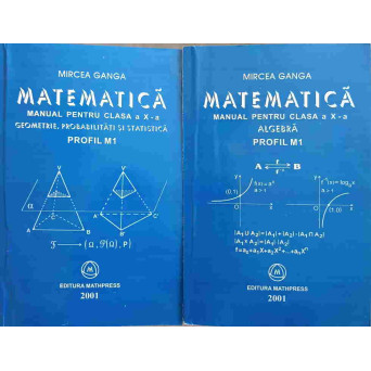 MATEMATICA MANUAL PENTRU CLASA A X-A VOL.1-2 ALGEBRA. GEOMETRIE, PROBABILITATI SI STATISTICA