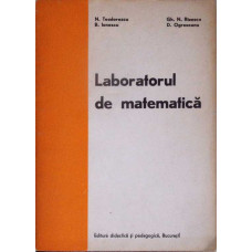 LABORATORUL DE MATEMATICA. ORGANIZAREA LABORATOARELOR SI RECOMANDARI PRIVIND DESFASURAREA LUCRARILOR PRACTICE
