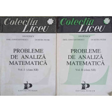 PROBLEME DE ANALIZA MATEMATICA CLASA A XII-A VOL.1-2