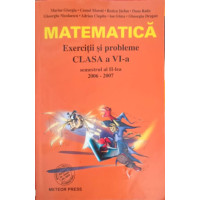 MATEMATICA, EXERCITII SI PROBLEME, CLASA A VI-A, SEMESTRUL II 2006-2007 MATEMATICA, EXERCITII SI PROBLEME, CLASA A VI-A, SEMESTRUL II 2006-2007