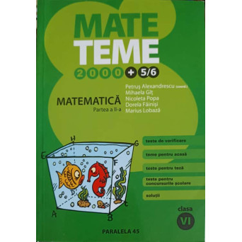 MATEMATICA CLASA A VI-A, PARTEA 2 - TESTE, TEME, SOLUTII