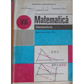 MATEMATICA GEOMETRIE. MANUAL PENTRU CLASA A VII-A