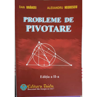 PROBLEME DE PIUVOTARE