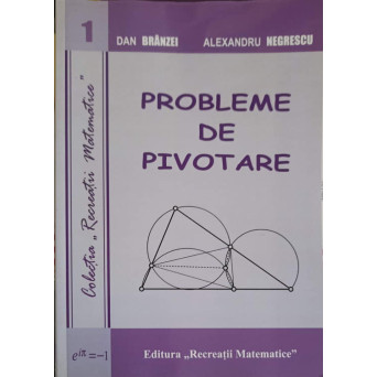 PROBLEME DE PIVOTARE