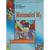 MATEMATICA, MANUAL PENTRU CLASA A XI-A (M1)