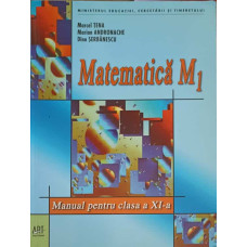 MATEMATICA, MANUAL PENTRU CLASA A XI-A (M1)