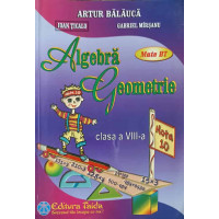 ALGEBRA GEOMETRIE, CLASA A VIII-A ALGEBRA GEOMETRIE, CLASA A VIII-A