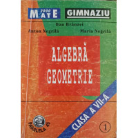 ALGEBRA GEOMETRIE CLASA A VII-A, PARTEA 1 ALGEBRA GEOMETRIE CLASA A VII-A, PARTEA 1