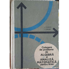 CULEGERE DE PROBLEME DE ALGEBRA SI ANALIZA MATEMATICA PENTRU LICEE