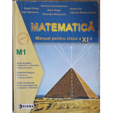 MATEMATICA, MANUAL PENTRU CLASA A XI-A (M1)