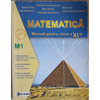 MATEMATICA, MANUAL PENTRU CLASA A XI-A (M1)