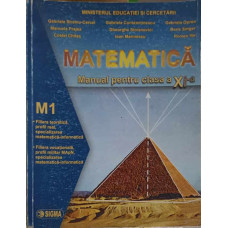 MATEMATICA, MANUAL PENTRU CLASA A XI-A (M1)