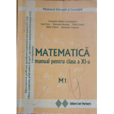 MATEMATICA, MANUAL PENTRU CLASA A XI-A (M1)