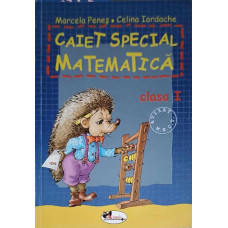 CAIET SPECIAL MATEMATICA, CLASA I