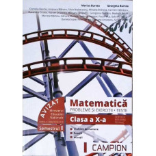 MATEMATICA. PROBLEME SI EXERCITII. TESTE. CLASA A X-A (SEMESTRUL I)