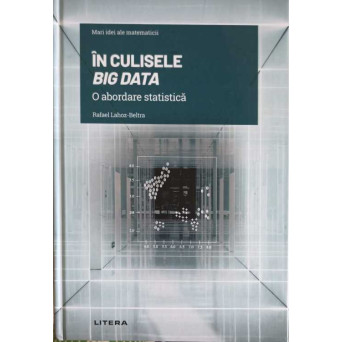 IN CULISELE BIG DATA, O ABORDARE STATISTICA