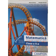 MATEMATICA, PROBLEME SI EXERCITII, TESTE - CLASA A X-A